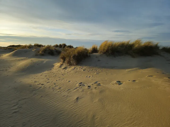 Oostnieuwkerke duinen wandeling in de koude (België)